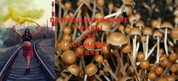 таблы Коряжма