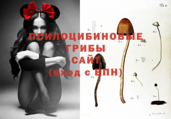 MESCALINE Корсаков