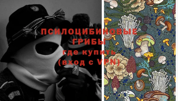 MESCALINE Корсаков