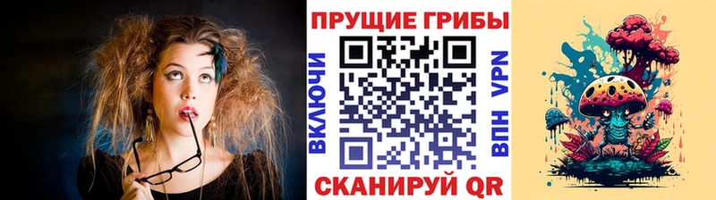 Купить  Уварово  Псилоцибиновые грибы Magic Shrooms 